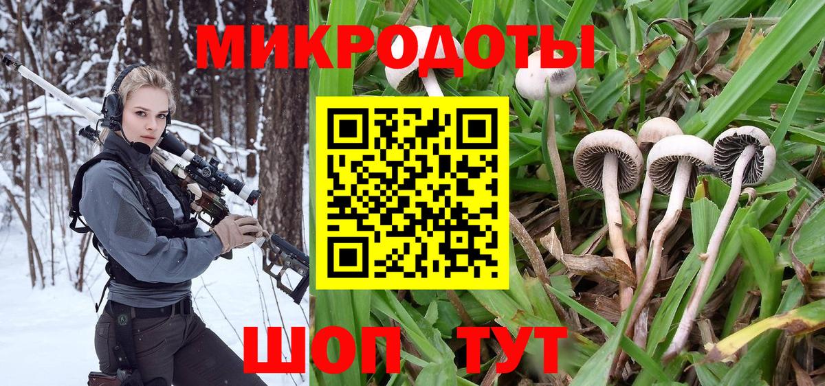 Псилоцибиновые грибы Magic Shrooms  Галлюциногенные грибы GOLDEN TEACHER  Благовещенск  наркота  Вход с VPN 